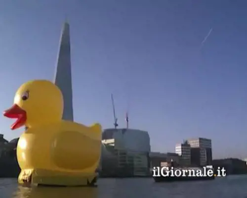 Una papera gigante sul Tamigi