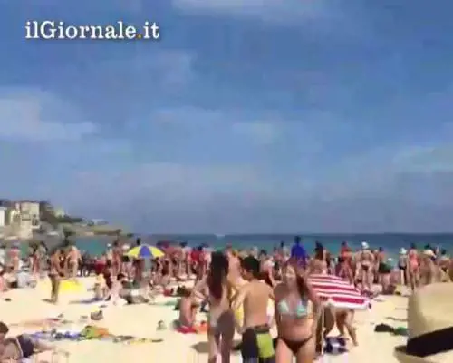 Sidney: capodanno con gli squali