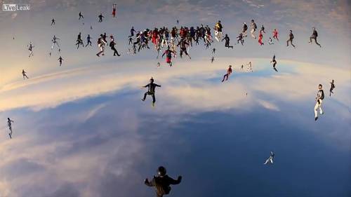 Record Mondiale di Skydiving verticale