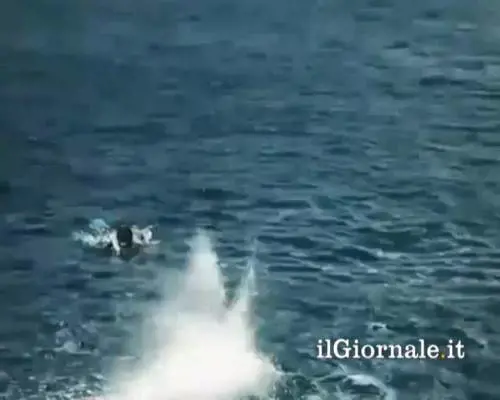 Ecco il video più cool del momento