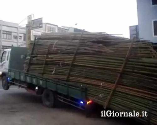 Come scaricare tre tonnellate di bambù