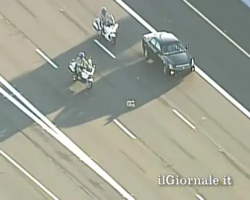 Inseguimento in autostrada e cagnolino spaventato