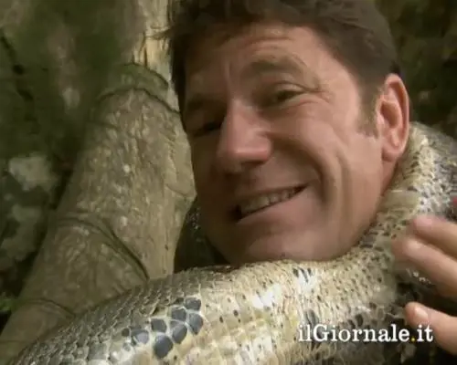 Ecco come uccide un boa