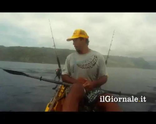 Quando peschi uno...squalo!