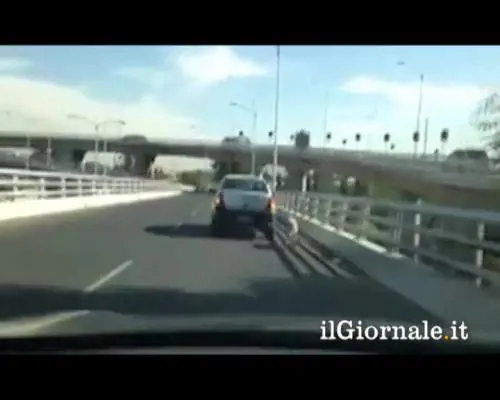 Abbandona il cane il autostrada, ma lui non ci sta