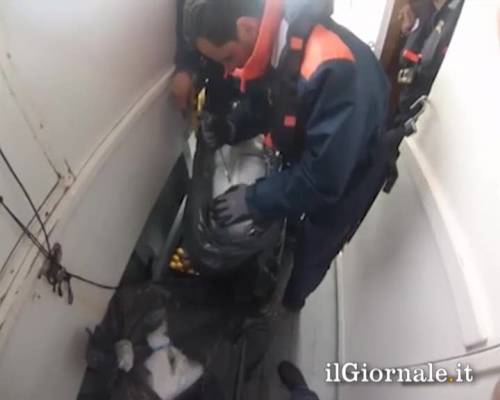 Lecce, maxisequestro di marijuana