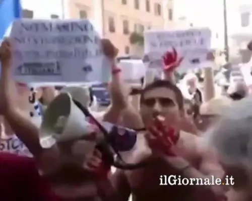 Volano accuse e querele tra animalisti e Marino