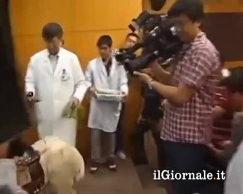 Cina: prima pecora con cuore artificiale