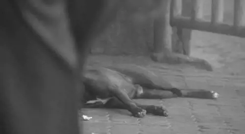 La campagna "Sms - SalvaMi Subito"