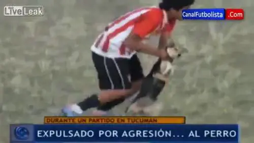 Giocatore espulso per aggressione ad un cane