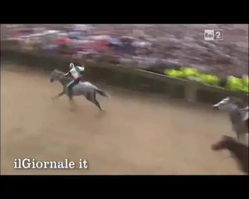 L'oca vince il palio di Siena