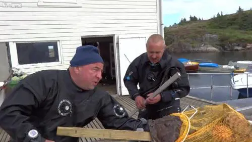 Mano del pescatore intrappolata nel pesce