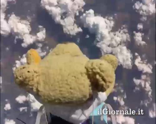 Il peluche supera Felix Baumgartner 