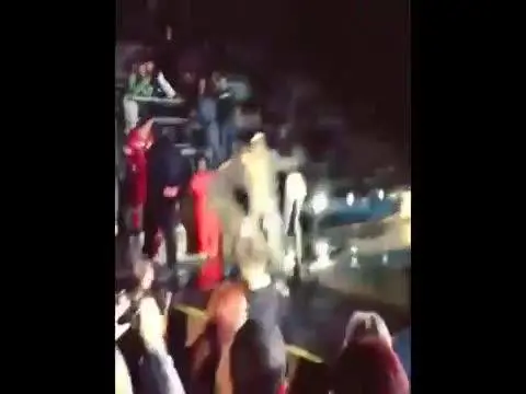 Ligabue cade sul palco dell'Arena