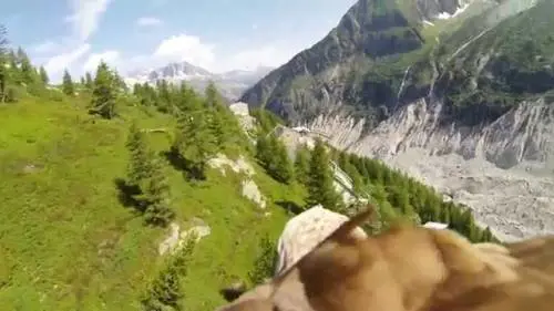 Il mondo visto da un'aquila