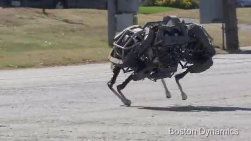 Arriva il primo animale robotizzato