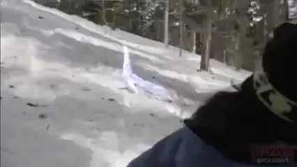 Avalanche Sharks: arrivano gli squali della neve