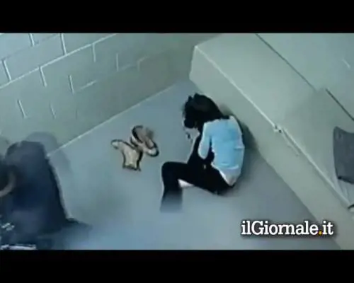 Denuncia polizia per maltrattamenti