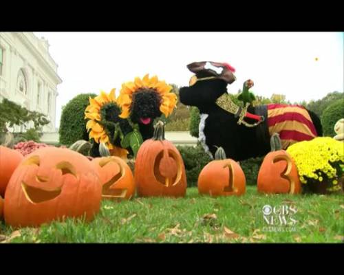 Halloween, i bimbi bussano alla Casa Bianca