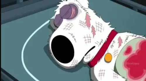 Griffin, in onda la morte del cane Brian