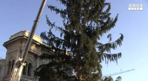 A Milano un albero di Natale da 30 metri