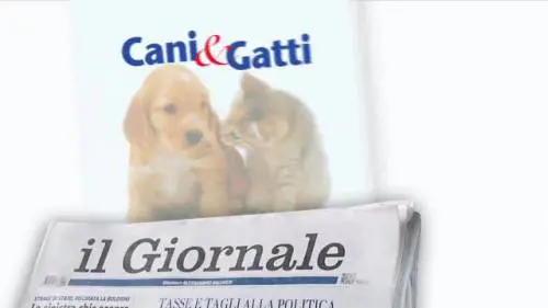 CANI & GATTI I nostri amici a quattro zampe