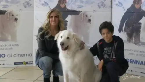 Dog carpet per l’anteprima di "Belle e Sebastien"