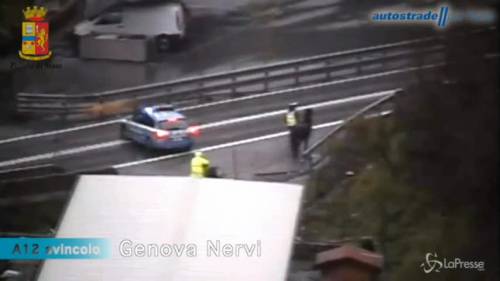 Genova: due cavalli al galoppo sull'A12