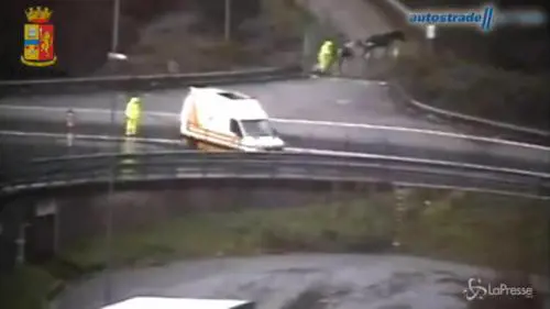 Genova: due cavalli al galoppo sull'A12