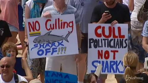Australia: in spiaggia a migliaia per gli squali