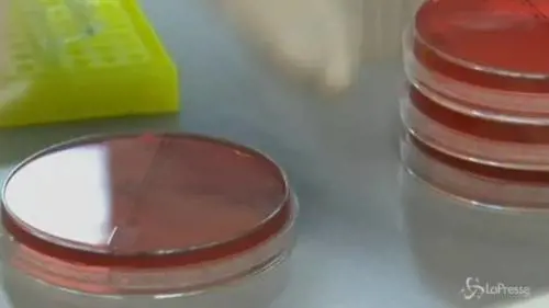 Antitrust: Multa record da 180 milioni a Roche e Novartis