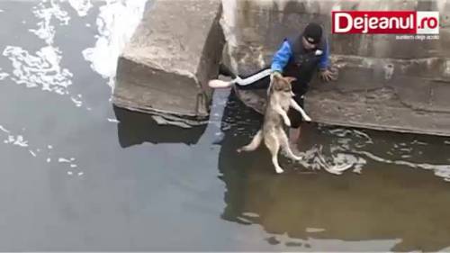 Cane salvato dal canale, torna a ringraziare i suoi salvatori