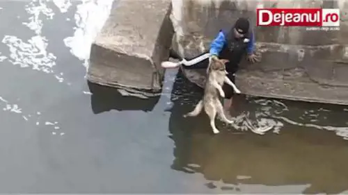 Cane salvato dal canale, torna a ringraziare i suoi salvatori