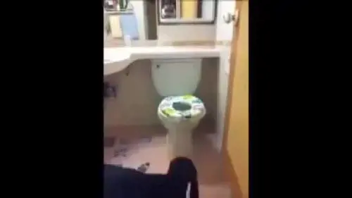 Un cane ben educato che non ha bisogno della passeggiatina 