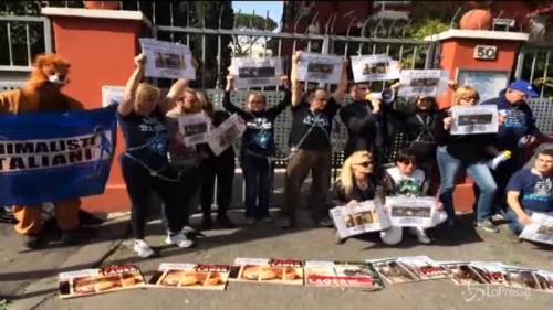 Protesta degli animalisti davanti all'ambasciata danese a Roma