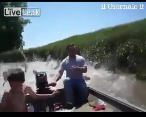 Usa, carpe "invadono" una barca