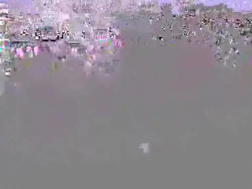 Viaggio in Piccardia /  Marieclare militante e casalinga