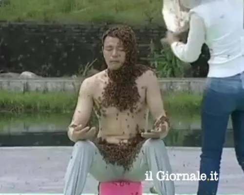 Ricoperto dalle api