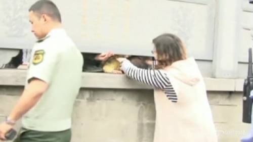 Cina, paura per una bambina con testa incastrata