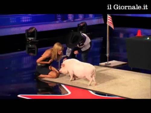 Heidi Klum bacia un maiale in diretta