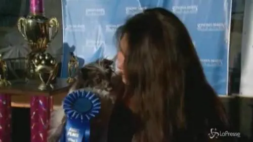 Usa, è Peanut il cane più brutto del mondo: subì ustione da cucciolo