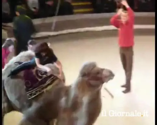 Le si strappano i pantaloni. Figuraccia in Russia