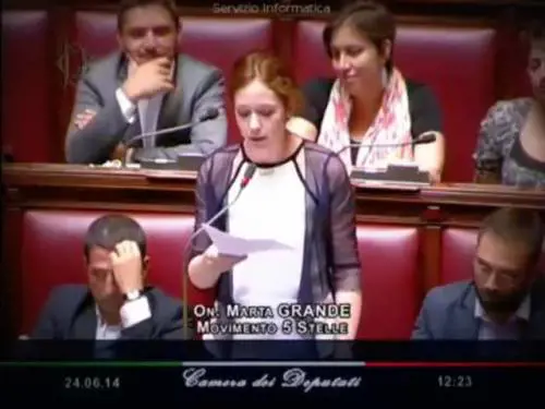 La gaffe della grillina sull'Ucraina