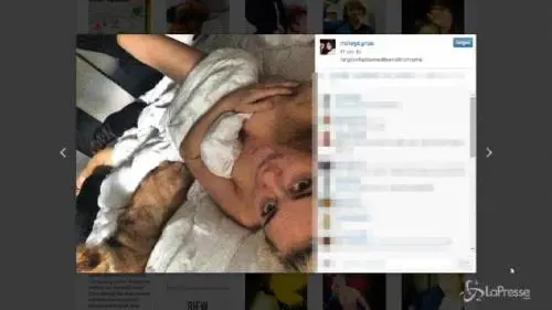 Miley Cyrus nel selfie sotto le lenzuola... quasi in topless con i cani
