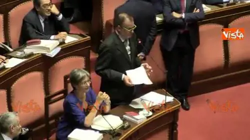 Calderoli: "Un canguro con il jet nel sedere"