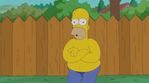 Anche Homer si fa una doccia per la SLA