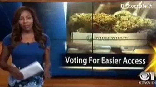 "F**k, lascio": giornalista si dimette  in diretta per dedicarsi  alla legalizzazione della marijuana in Alaska