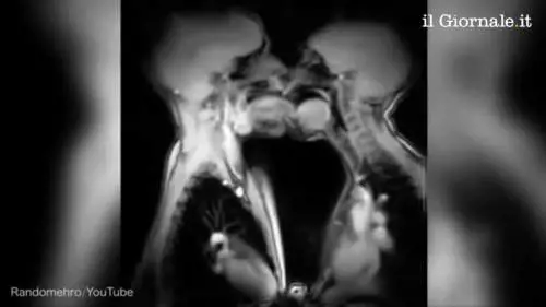 Cosa succede mentre facciamo sesso?