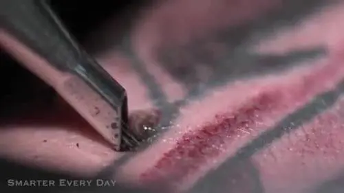 Il tatuaggio in slow motion
