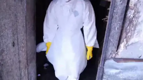 Ebola, l'Onu invia 70 tonnellate di attrezzature in Guinea 
